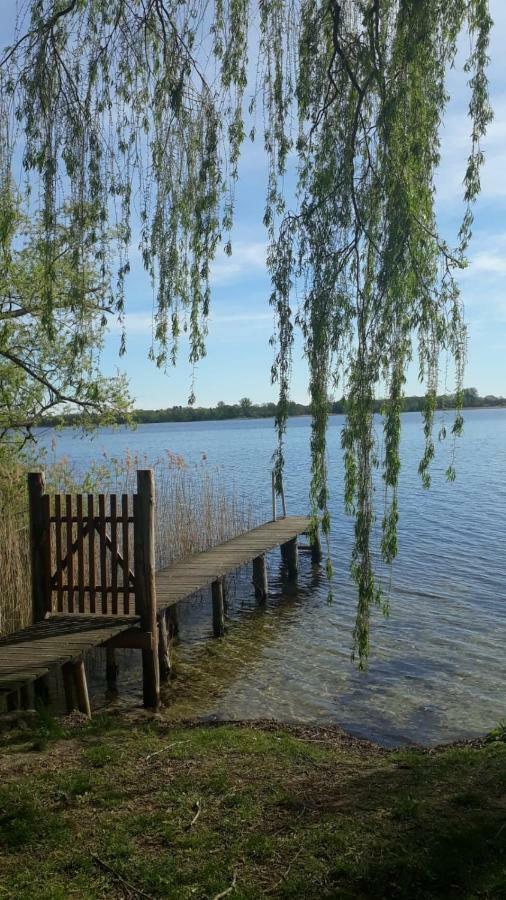 Appartements Am Schaalsee Zarrentin am Schaalsee Екстериор снимка